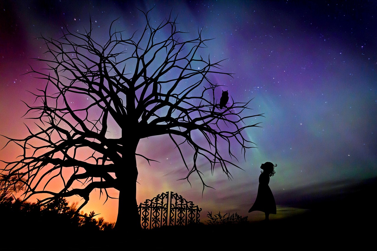 girl, starry sky, evening sky