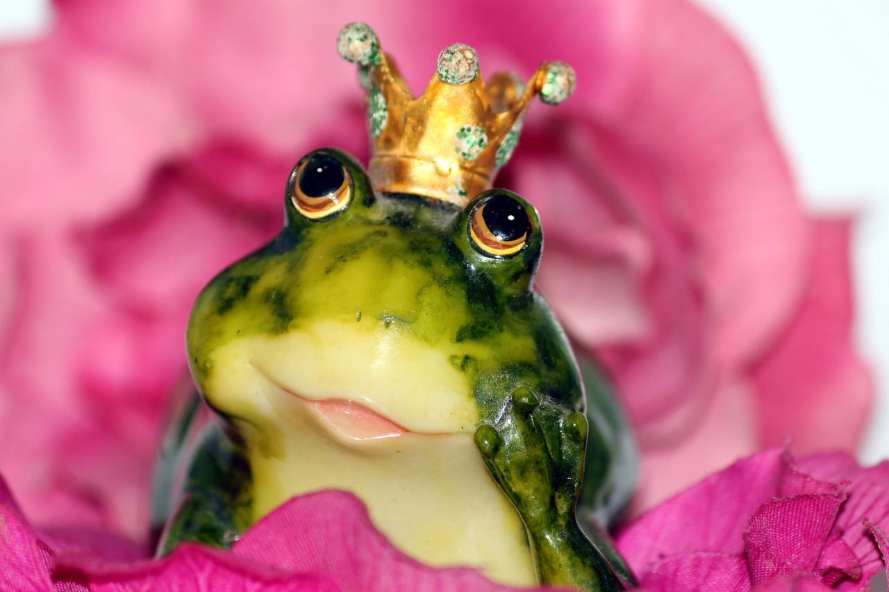 frog prince, crown, flower